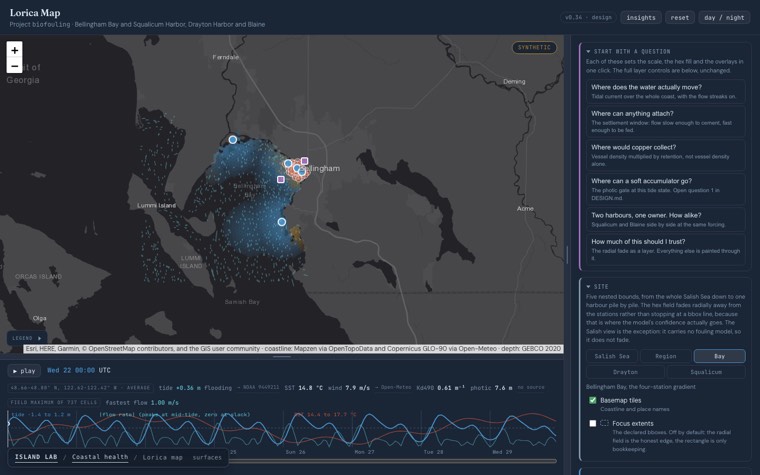 Hex map of Bellingham Bay with tidal flow streaks
